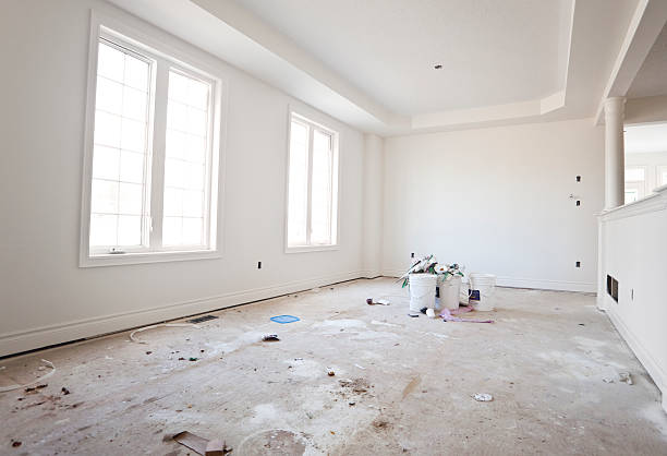 Best Water Damage & Mold Remediation  in Johnston City, IL