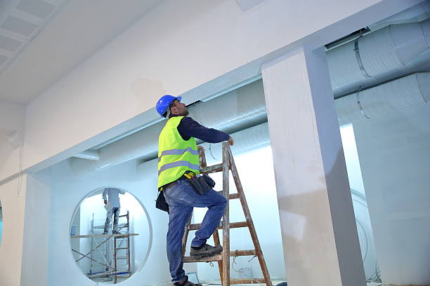Best Mold Removal for HVAC Installations  in Johnston City, IL